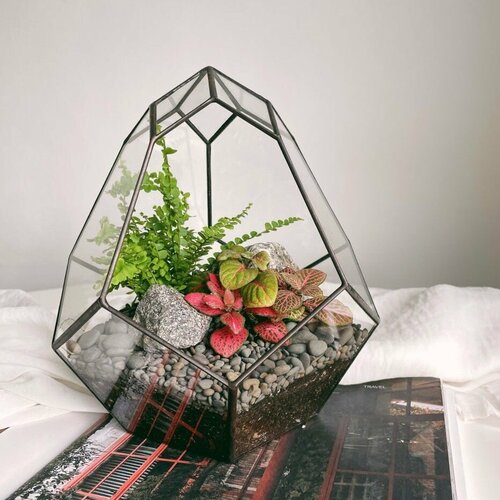 Флорариум СеверИнсайд Бутон с фиттониями и папоротником