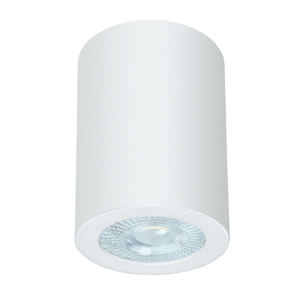 Точечный накладной светильник Arte Lamp TINO A1468PL-1WH / GU10 / 1х35Вт / IP44 / белый