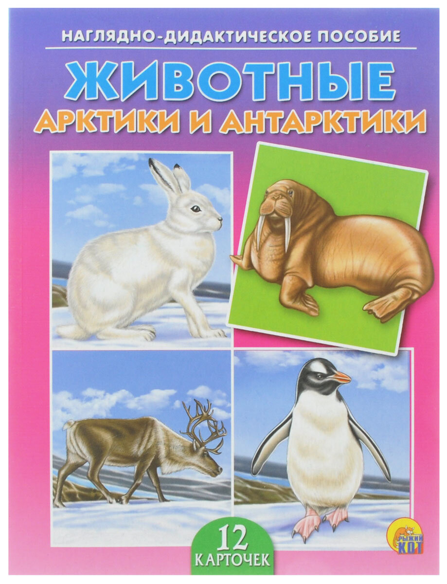 No name. Наглядно-дидактическое пособие "Животные Арктики и Антарктики". Обучение