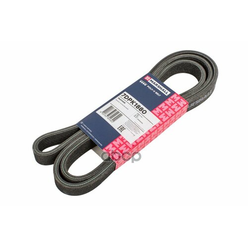 Ремень Поликлиновой MARSHALL арт. M6310425