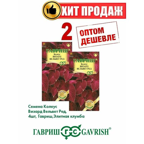 Колеус Визард Вельвет Ред, 4шт, Гавриш, (2уп) тысячелистник ред вельвет