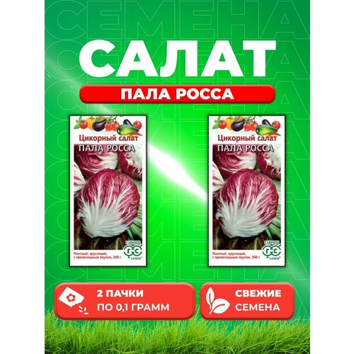 Цикорный салат Пала Росса* 0,1 г (2уп)