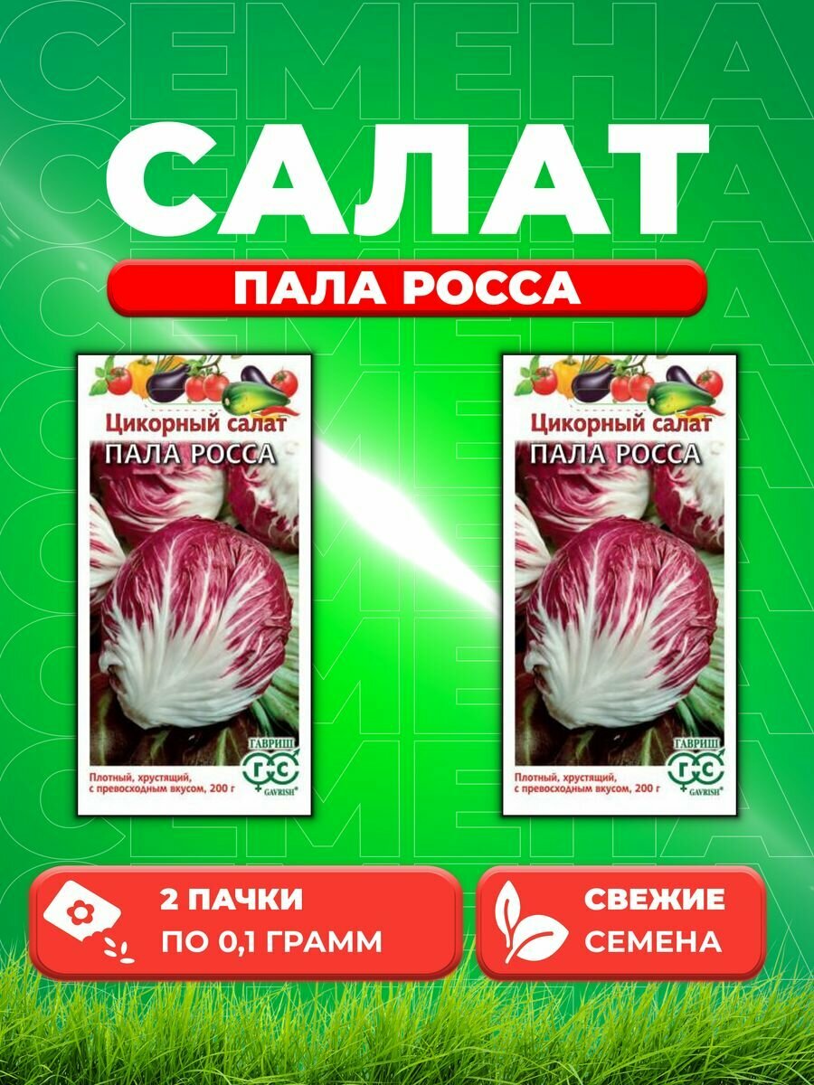 Цикорный салат Пала Росса* 0,1 г (2уп)