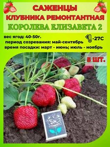 Основная фотография от вендора