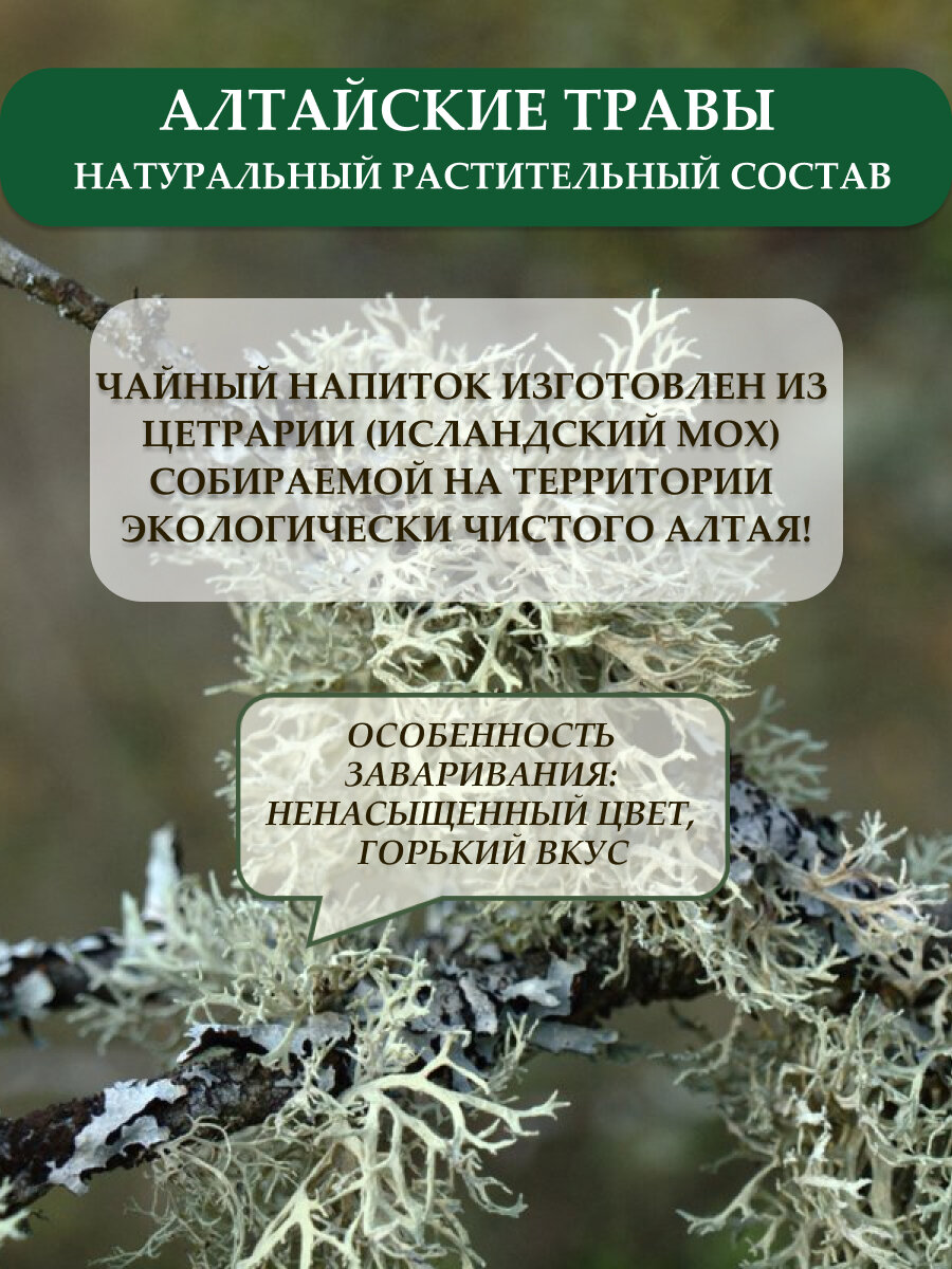 Чайный напиток Altay Seligor Исландский Мох, 20 пакетиков — фото 1