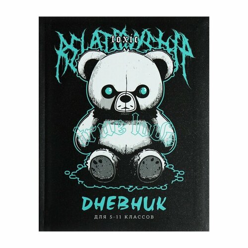 Дневник универсальный 5-11 класс, 48 листов 
