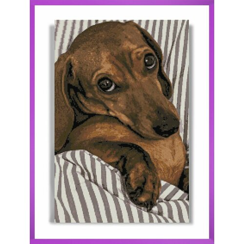 Алмазная мозаика на подрамнике - вышивка Такса 40 х 60 см 2550₽