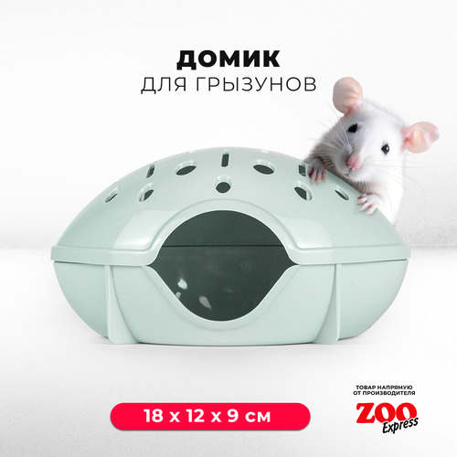 Домик ZOOexpress для грызунов, хомяков, крыс и мышей, 18х12х9 см, без дверцы, светло-зеленый