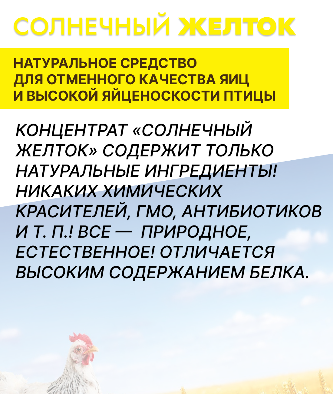 Солнечный желток, Белково-витаминно-минеральный концентрат для домашней птицы, 700 г — фото 1