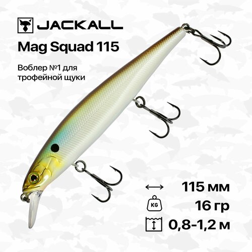 Воблер Jackall Mag Squad 115 SP, 115 мм, 16 гр, 0,8-1,2 м, #Tennessee Shad