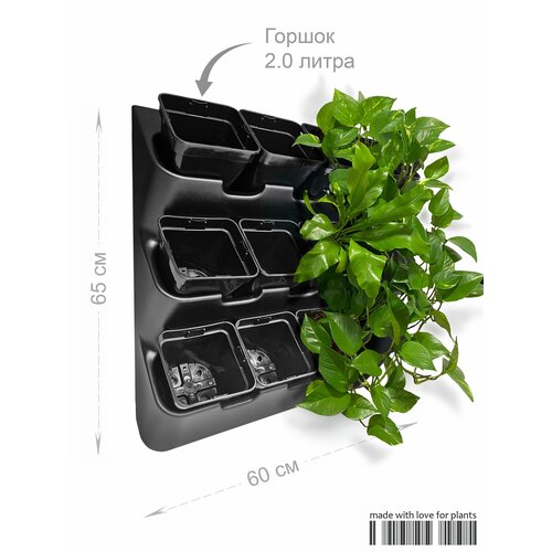 Фитомодуль "BOXSAND 12" (60х65 см) вместимость 12 растений, цвет черный в комплекте с черными горшками 2,0 литра