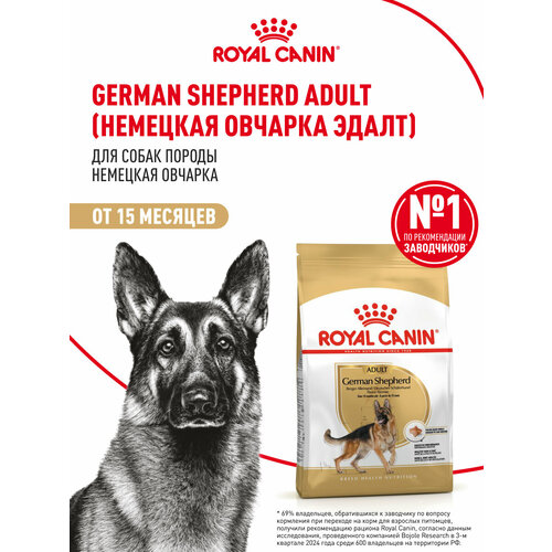 Корм сухой для взрослых собак Royal Canin German Shepherd (Немецкая Овчарка Эдалт) породы Немецкая овчарка от 15 месяцев 3 кг