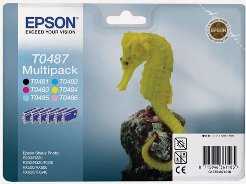 Изображение товара Картридж Epson T0487 (CB000039839)