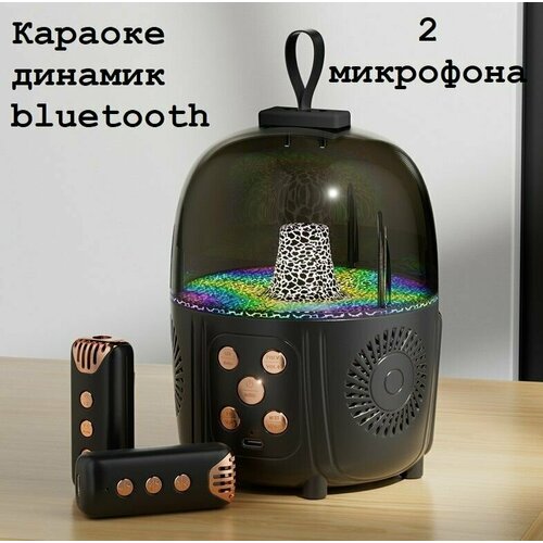 Портативный беспроводной караоке динамик bluetooth с конденсаторными микрофонами черная 309900₽