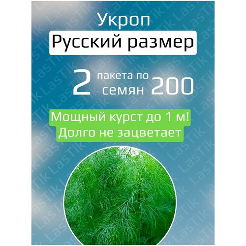 Укроп Русский размер 2 пакета по 200шт семян капуста б к русский размер 2 пакета по 50шт семян