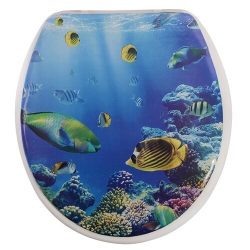 фото Мягкое сиденье для унитаза рифы аквалиния