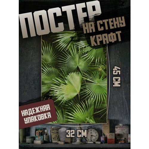 Постер 32х45 арты Растения и цветы