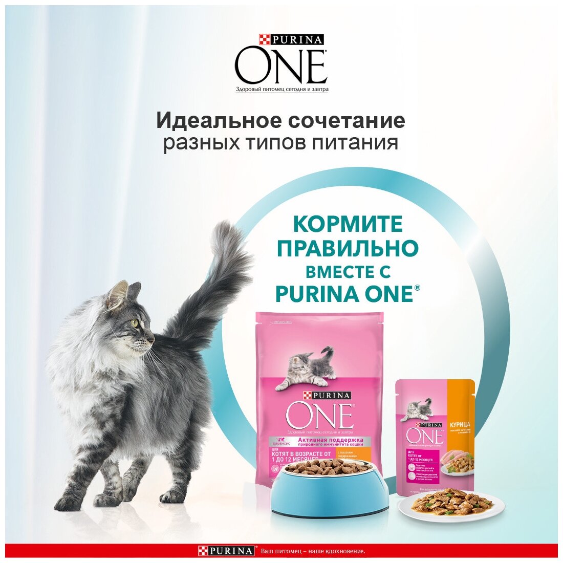 PURINA ONE для котят с курицей и злаками (0,2 кг х 10 шт) - фотография № 5