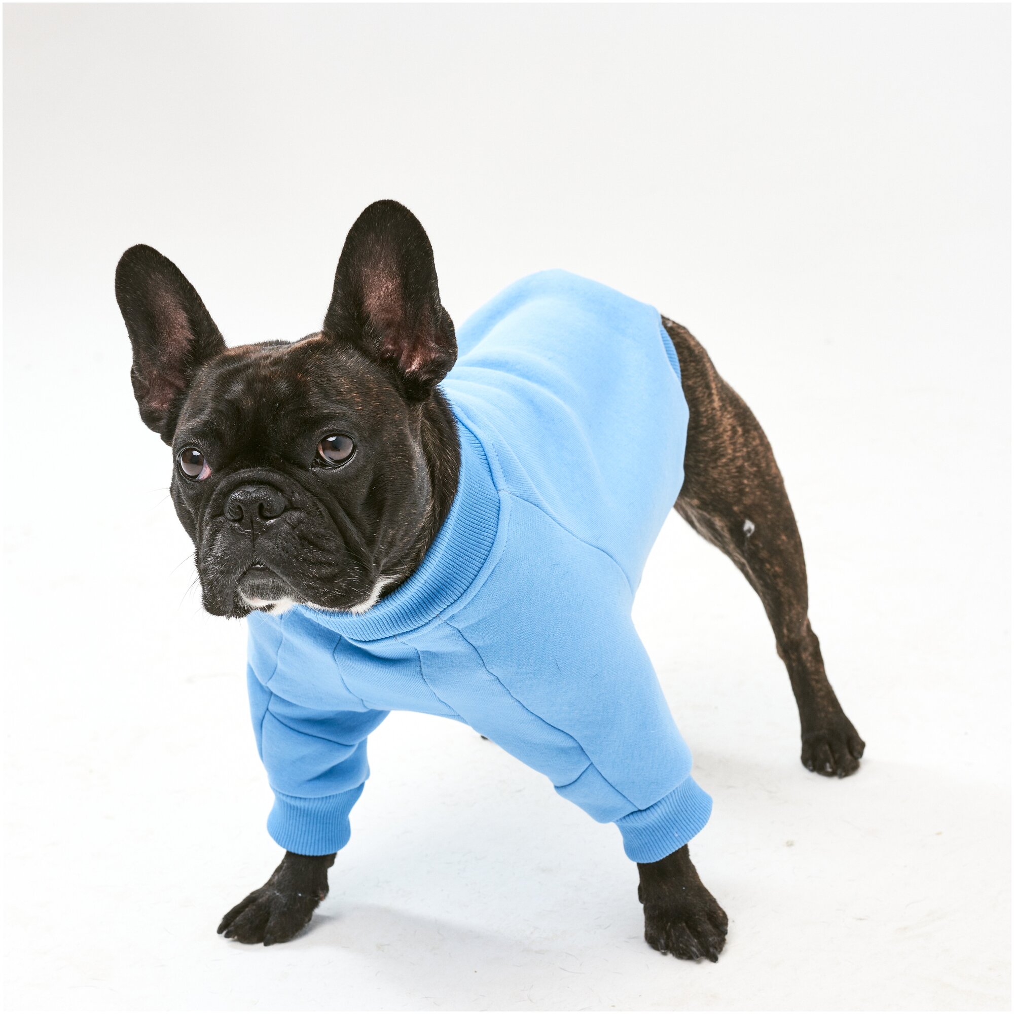WOOFLER /Свитшот для французского бульдога, бультерьера и амстаффа, толстовка из футера, одежда для собак, цвет голубой, размер S32 - фотография № 2