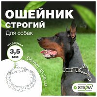 Строгий ошейник для собак ДЮК STEFAN (Штефан), XL, SC3-4060