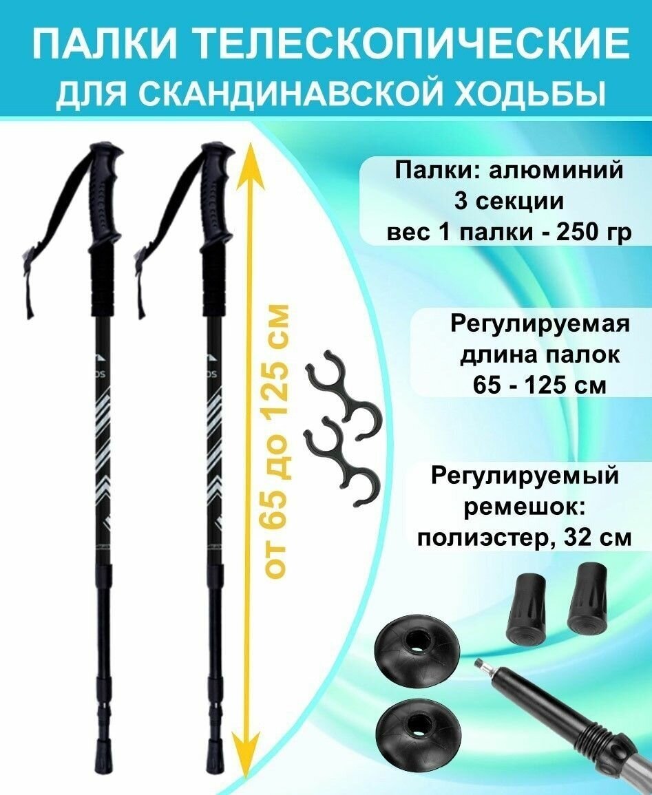 фото Палки всесезонные