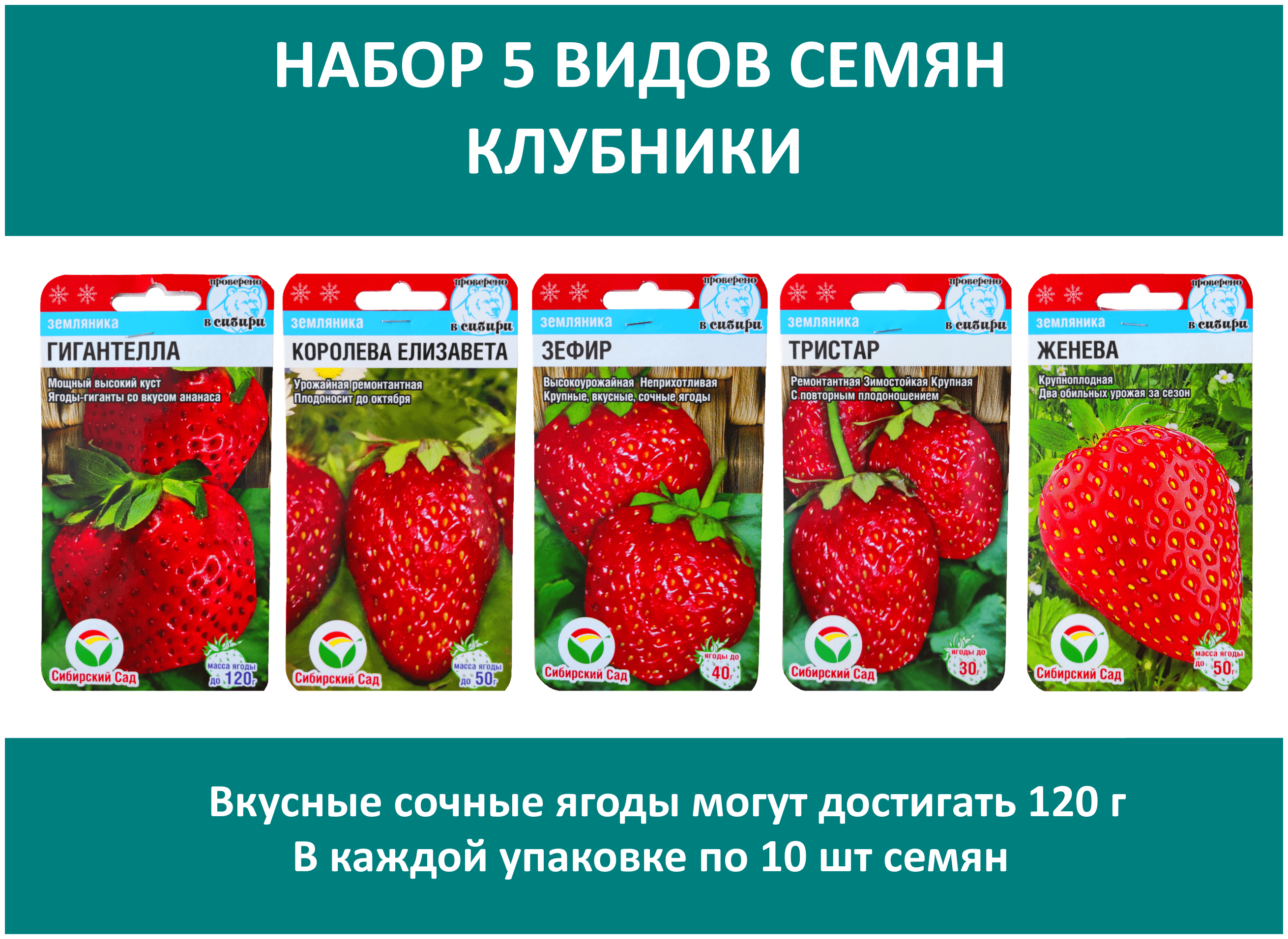 Набор 5 видов семян Клубники: Королева Елизавета Гигантелла Зефир Женева Тристар