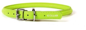 Ошейник "CoLLaR GLAMOUR" круглый, кожаный для собак (ширина 6мм, длина 25-33см) зеленый
