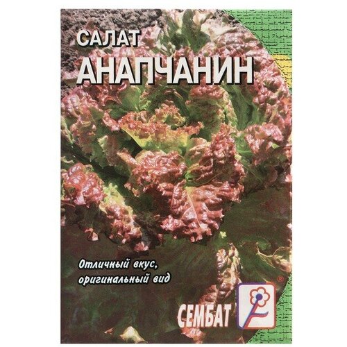 Семена Салат "Анапчанин", 0,5 г