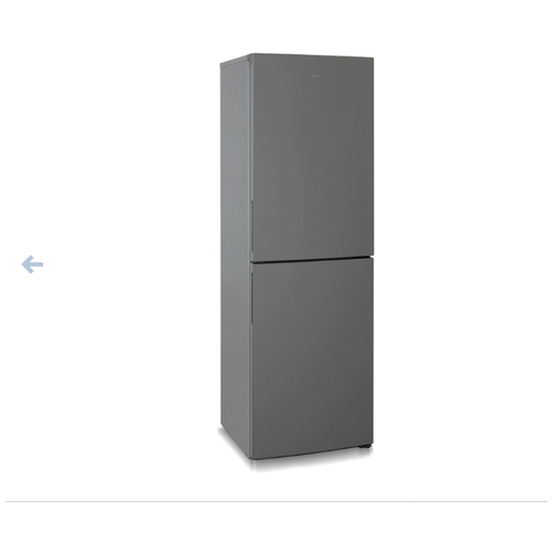 Холодильник Бирюса W 6031