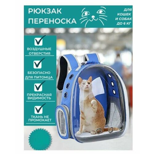 Рюкзак сумка переноска для животных / Ранец с иллюминатором для кошек и собак синий