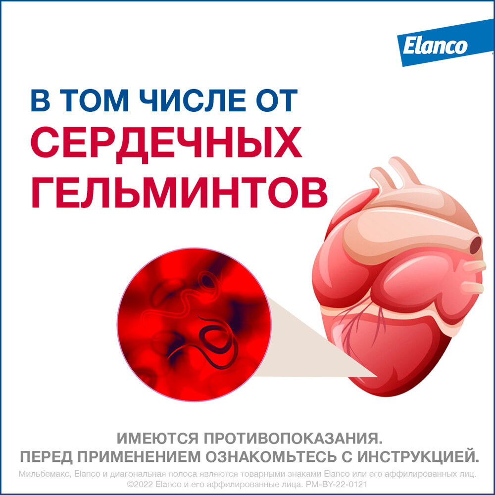 Elanco Мильбемакс для котят и молодых кошек — фото 1