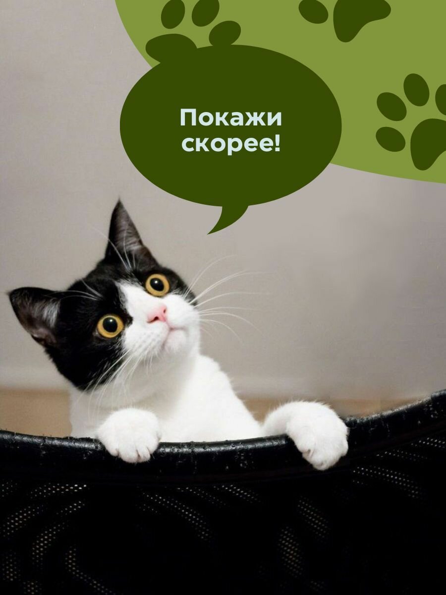 Наполнитель древесный для кошачьего туалета Воспитанный кот 10 кг - фотография № 6