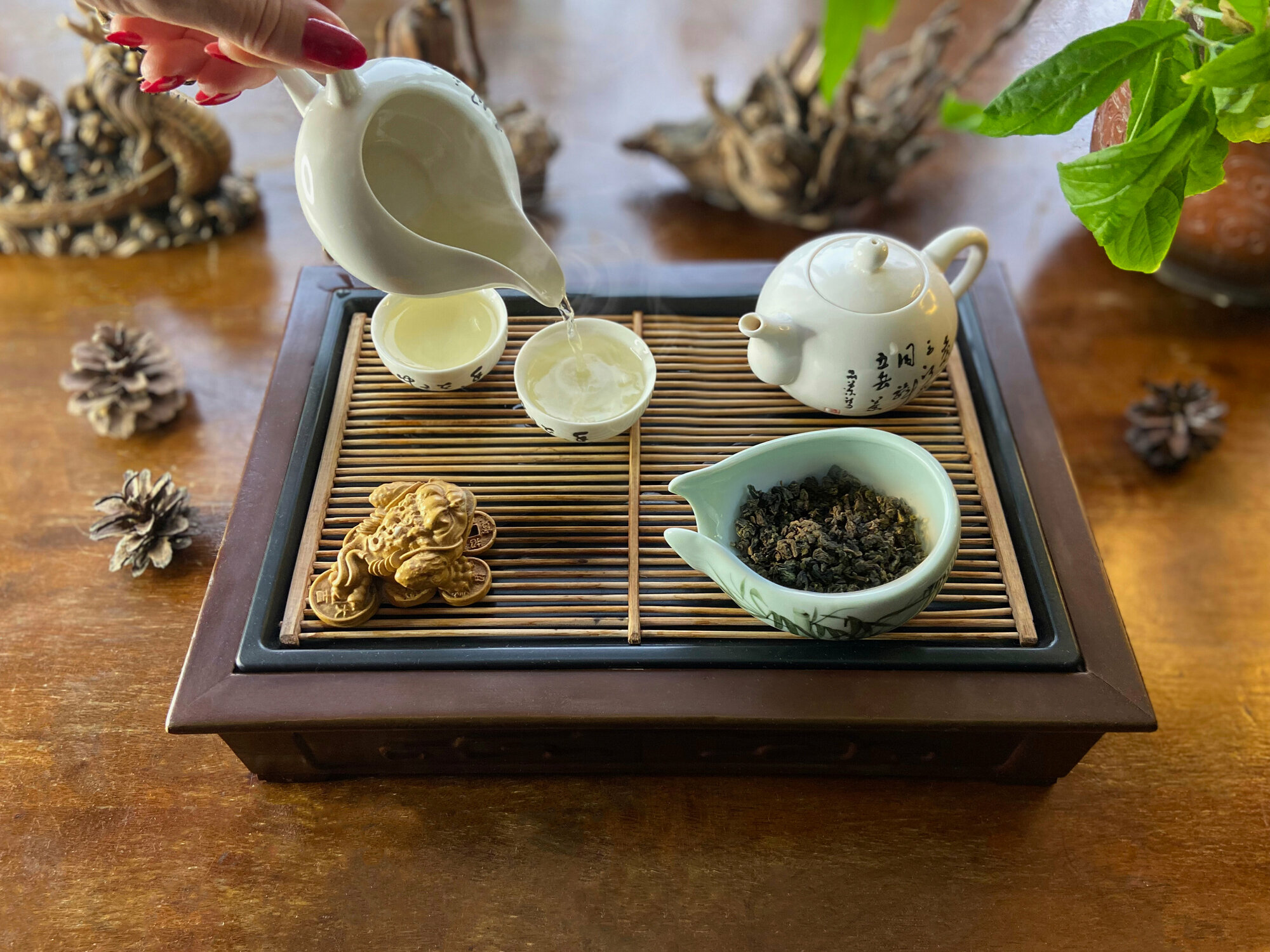 Китайский элитный чай Те Гуань Инь категория А1 50 гр