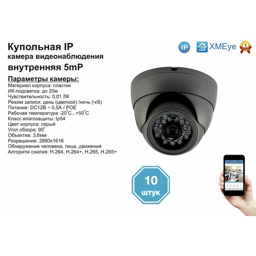 10шт DVS300IP5MPPOE Внутренняя IP камера 5мП с ИК до 20м 3240000₽