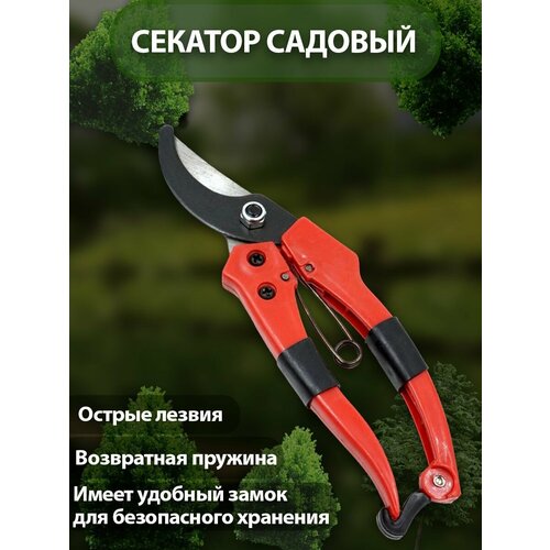 Секатор садовый