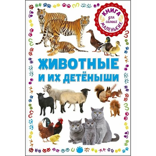 Животные и их детёныши 339₽