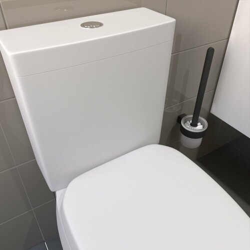 Ершик для унитаза коллекция лотос ЛТ90ЧМ матовое стекло черный матовый Альтасан 5673₽