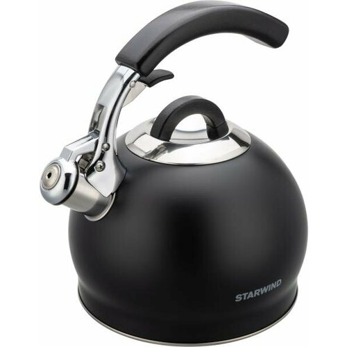 Чайник металлический Starwind Chef Concept 3л черный SW-CH1510 310000₽