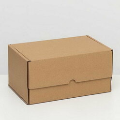 Коробка самосборная "Почтовая", бурая, 30 х 20 х 15 см(10 шт.)