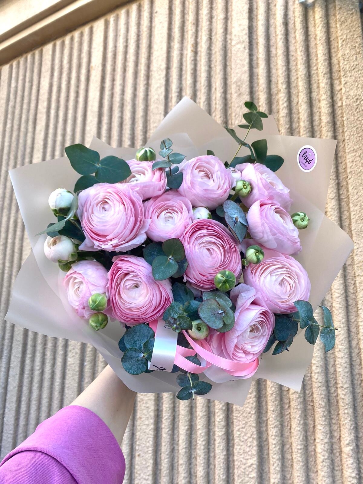 Монобукет "Ранункулюс с эвкалиптом" 11 цветов высота 50см