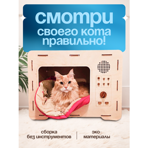Домик телевизор для кошек и собак