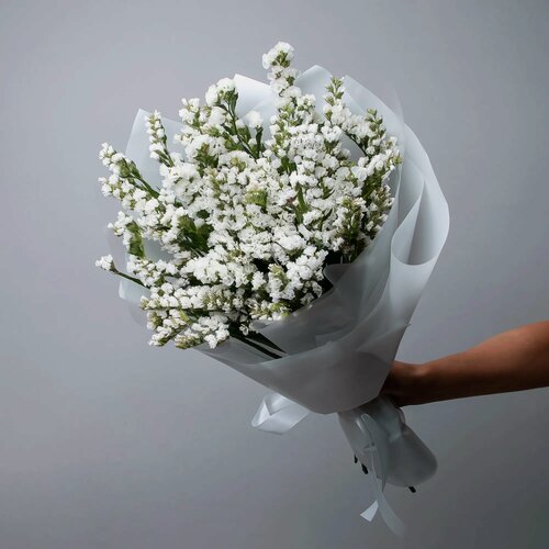 Изображение товара Букет Статица "Белая" 15 шт Высота 60 см в коробке и аквабоксе от "Простоцветы"