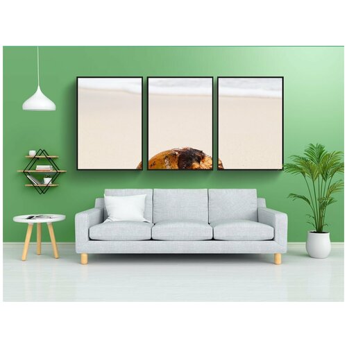 фото Набор модулных постеров для интерьера "кокос, тропический, океан" 60x90 см. в тубусе, без рамки lotsprints