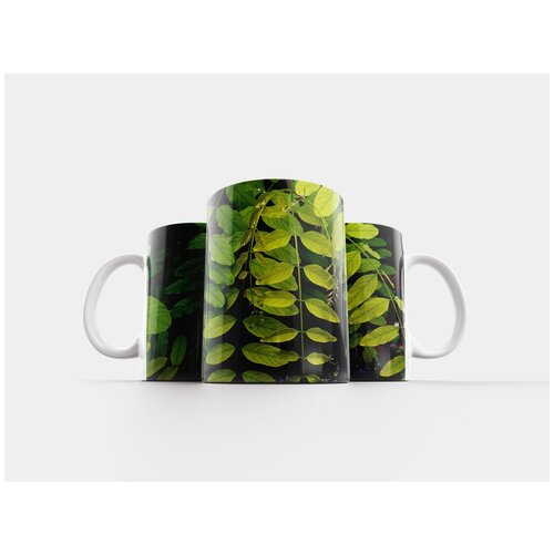фото Кружка "зелень, растение, листья зеленые" 320 мл lotsprints