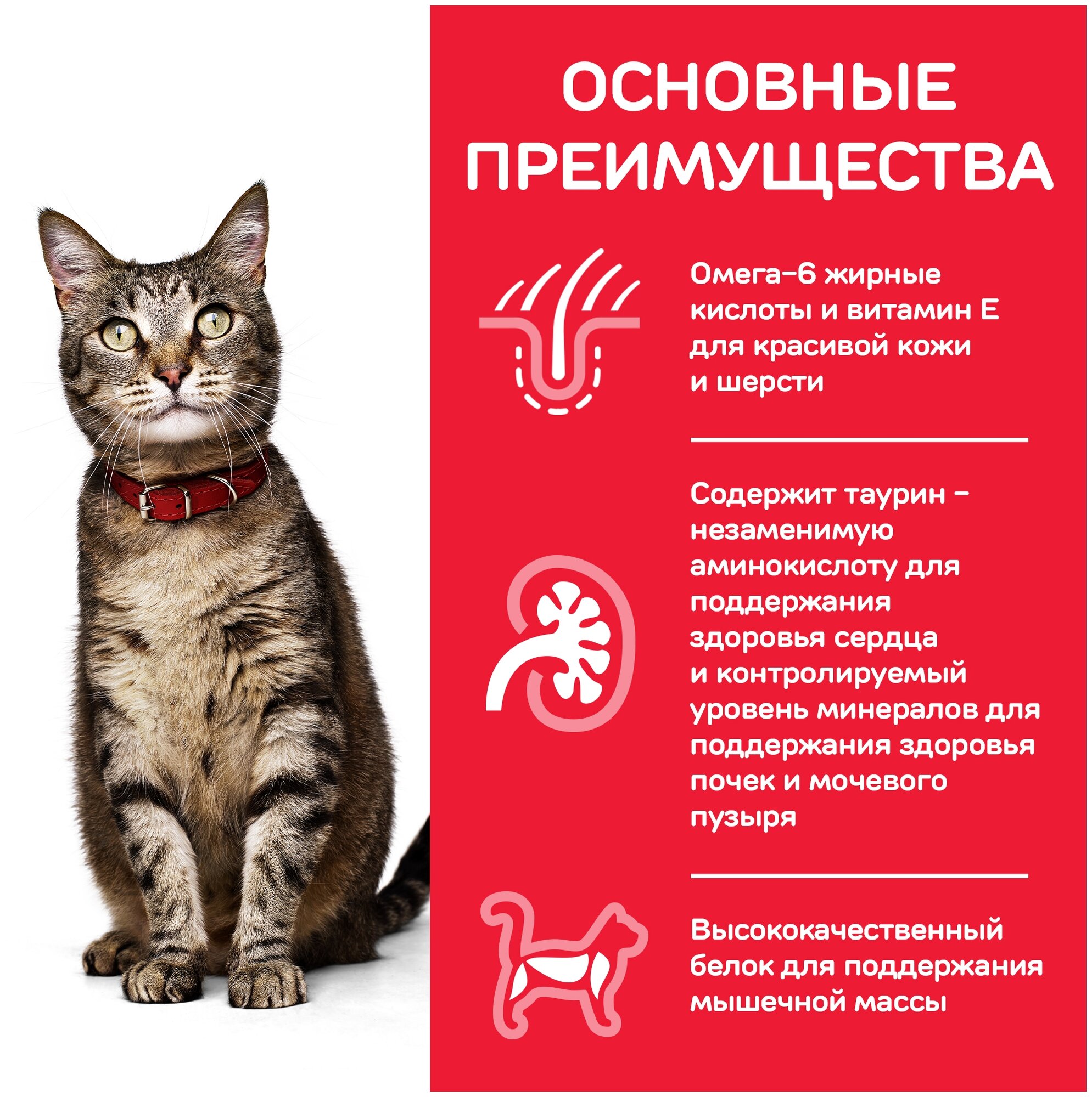 Сухой корм Hill's Science Plan Feline Adult Optimal Care для взрослых кошек с курицей 1,5кг 604718 - фотография № 5