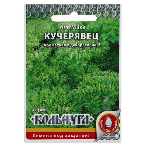 Семена Петрушка листовая Кучерявец, серия Кольчуга NEW, 2 г