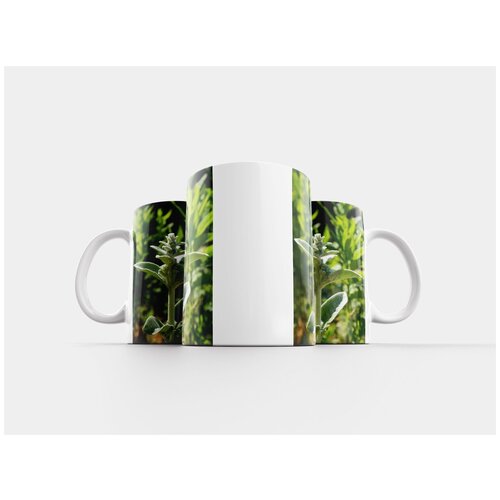 фото Кружка "чистец шерсть, чистец альпийский, завод" 320 мл lotsprints