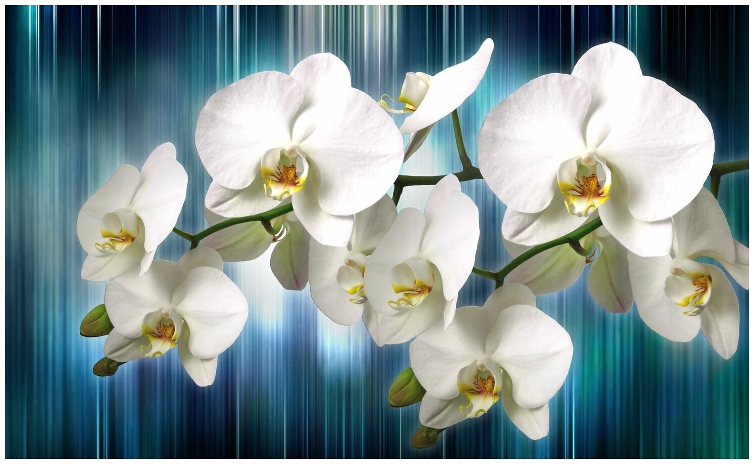 Фотообои Уютная стена "Орхидея на движущемся фоне" 440х270 см Бесшовные Премиум (единым полотном)