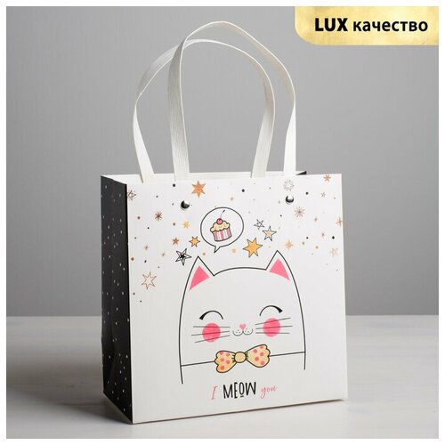 Пакет подарочный «Котик», 20 × 20 × 10 см