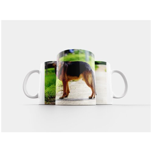 фото Кружка "собака, фам хоанг, берлин" 320 мл lotsprints